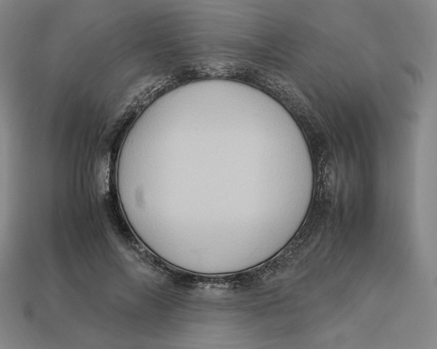 X0000113110694200909181629