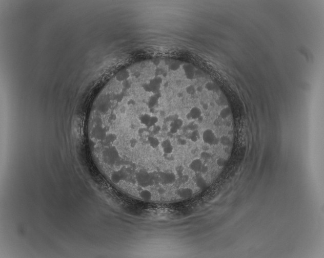 X0000113110695200909181629