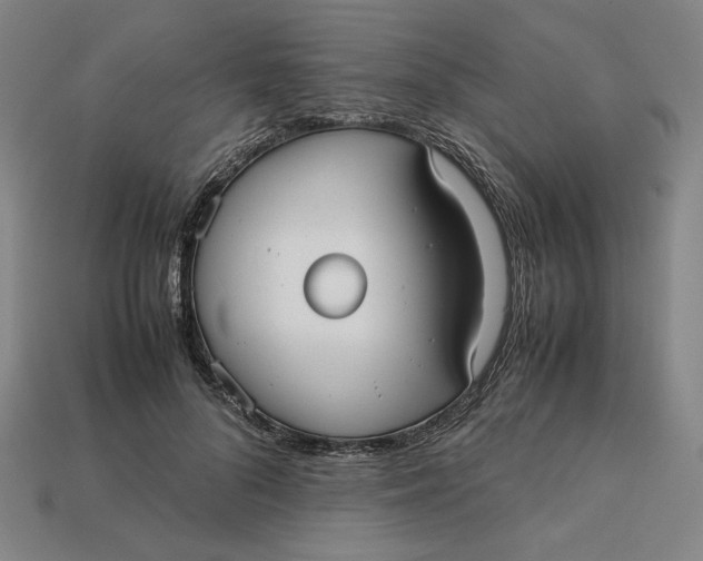 X0000113110696200909181629
