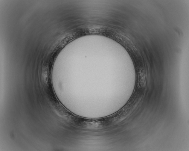X0000113110698200909181629