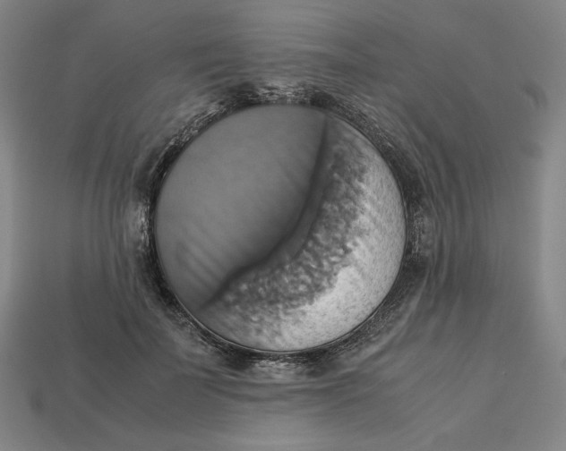X0000113110699200909181629