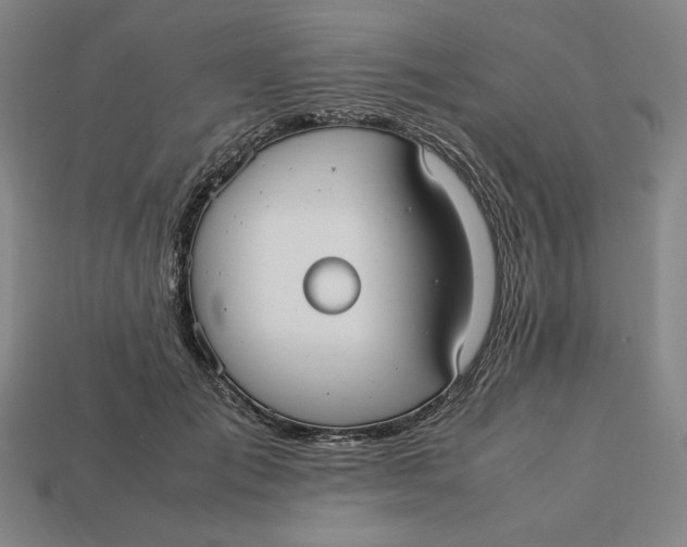 X0000113110701200909181629