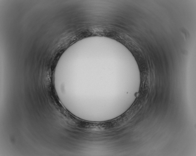 X0000113110702200909181629