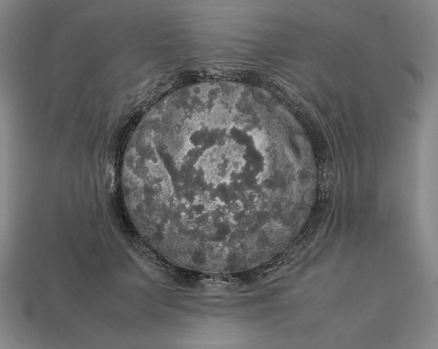 X0000113110703200909181629