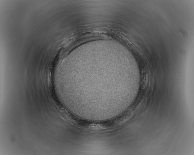 X0000113110704200909181629