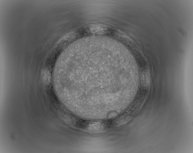 X0000113110705200909181628