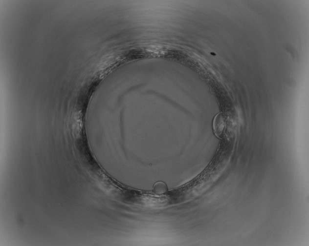 X0000113110707200909181628