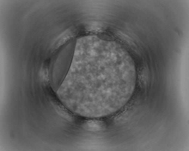 X0000113110708200909181628