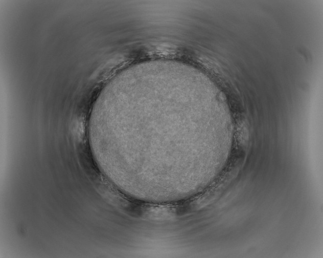 X0000113110709200909181628
