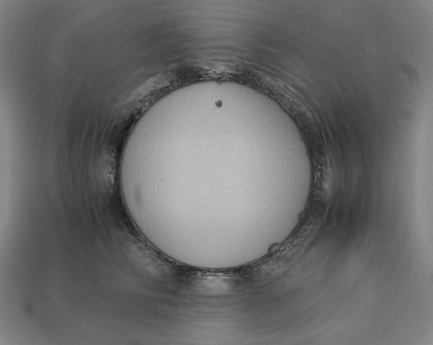 X0000113110710200909181628