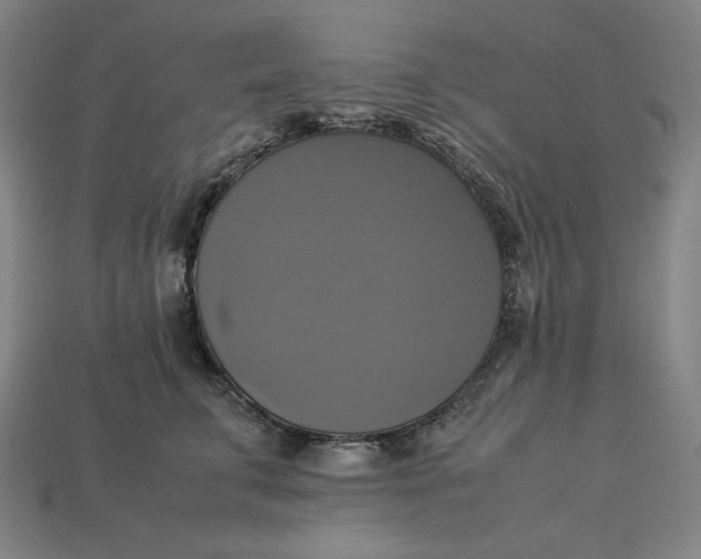 X0000113110711200909181628