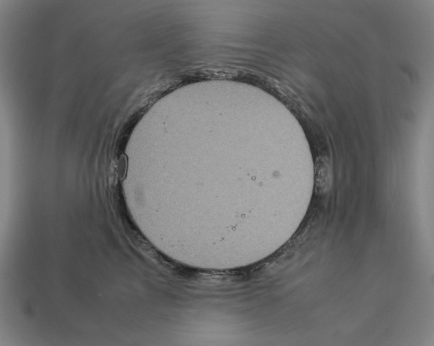 X0000113110713200909181628