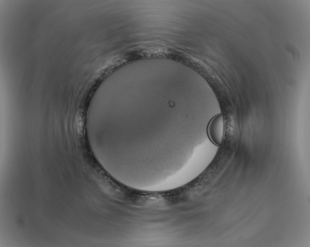 X0000113110715200909181628