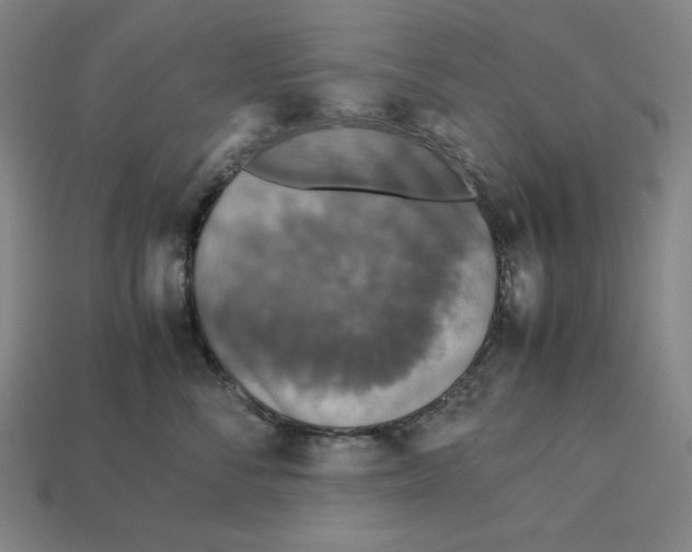 X0000113110716200909181628