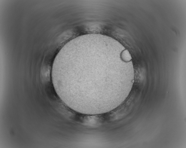 X0000113110717200909181628
