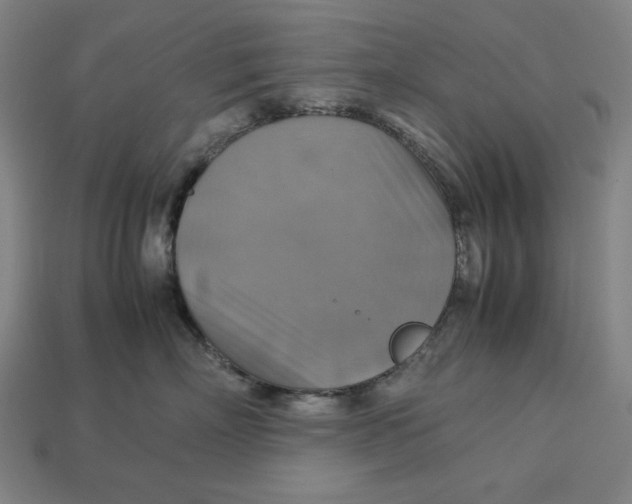 X0000113110718200909181628