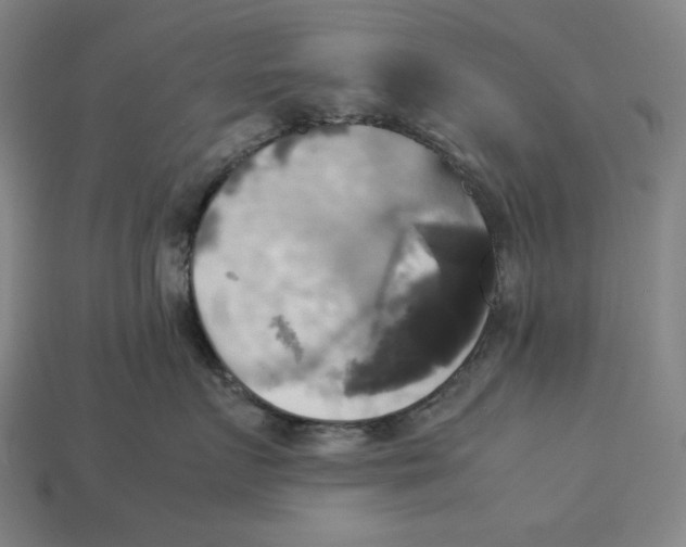 X0000113110719200909181628