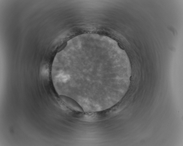 X0000113110720200909181628