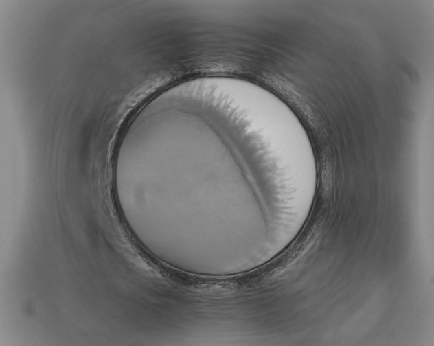 X0000113110721200909181628