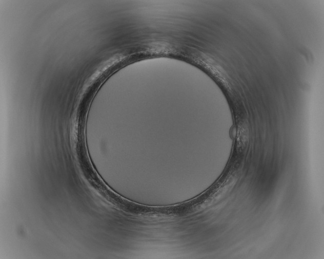 X0000113110722200909181628