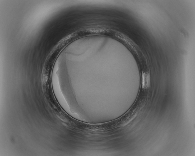 X0000113110723200909181628