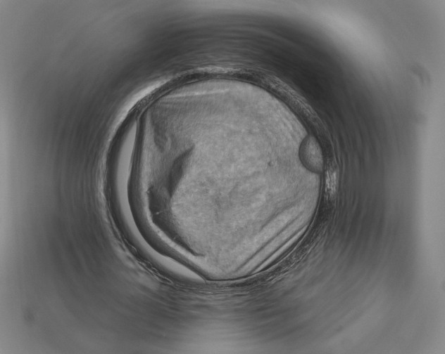 X0000113110724200909181628