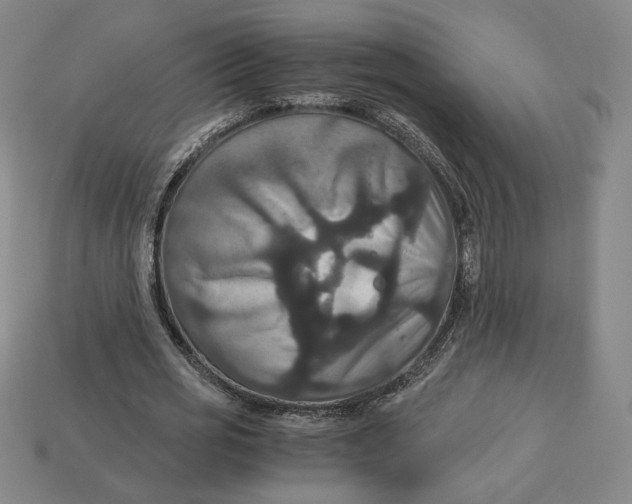 X0000113110725200909181628