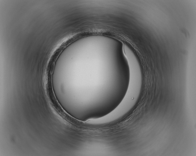 X0000113110726200909181628