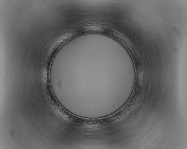 X0000113110729200909181628