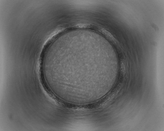 X0000113110730200909181628