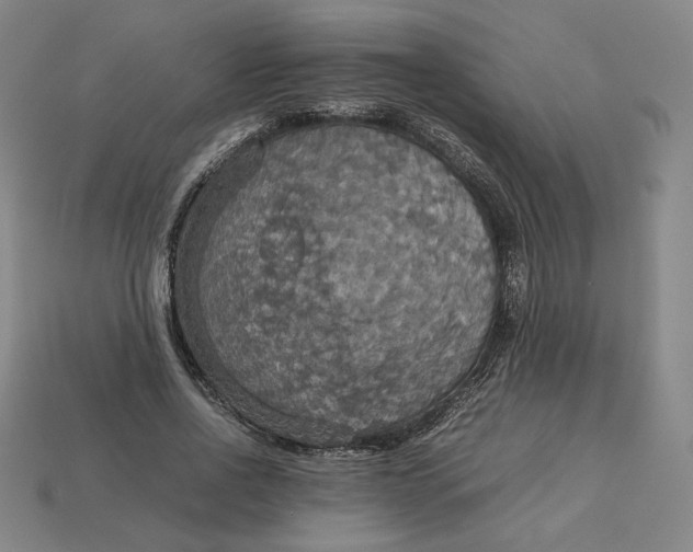 X0000113110734200909181628