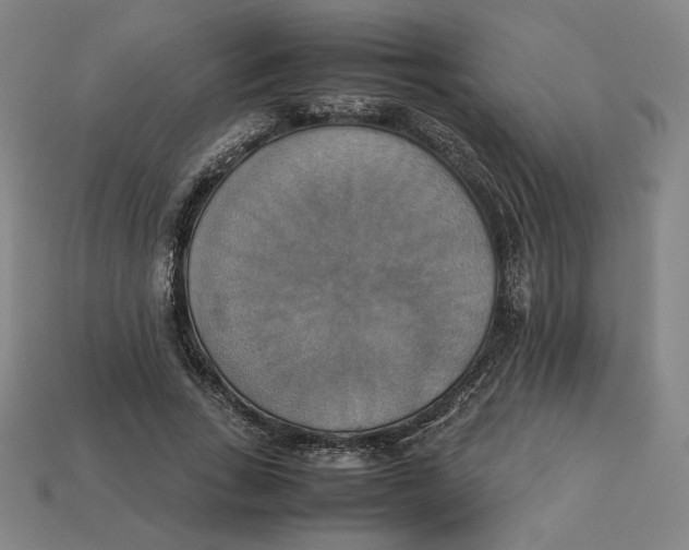 X0000113110735200909181628