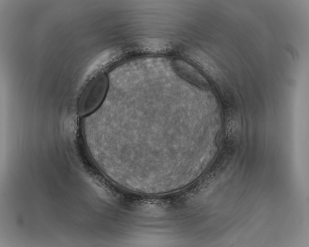 X0000113110736200909181628