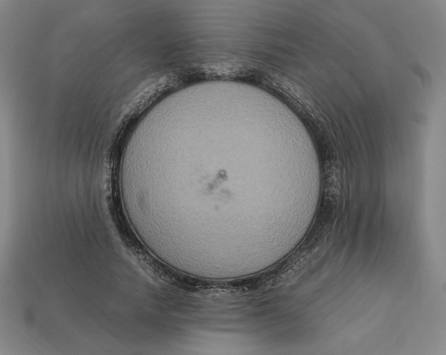 X0000113110738200909181628