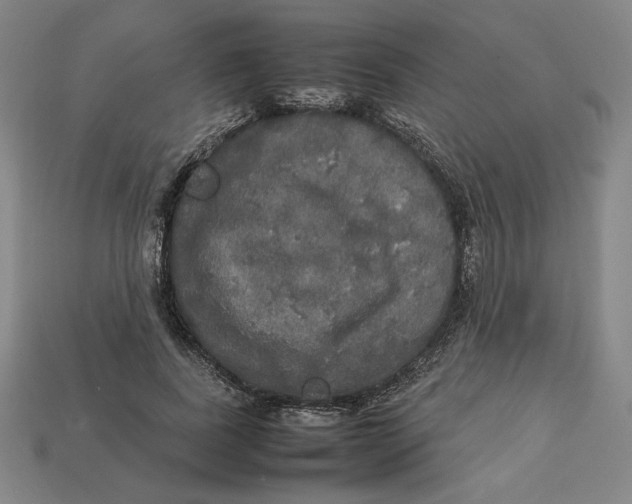 X0000113110739200909181628