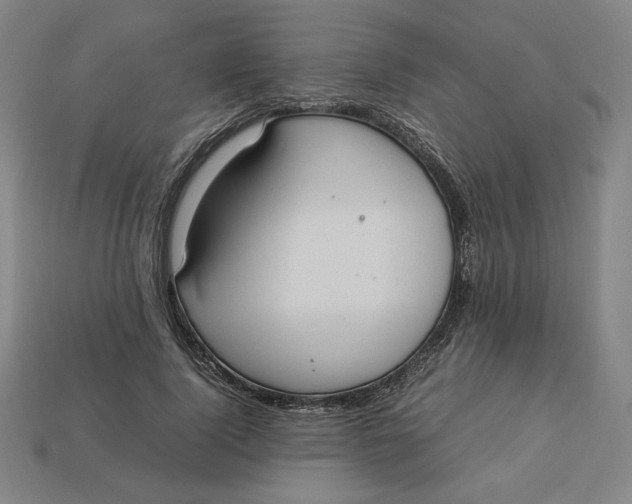 X0000113110740200909181628