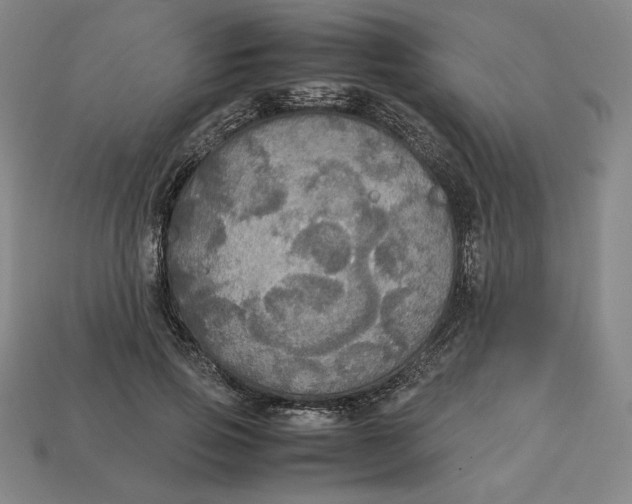 X0000113110741200909181628