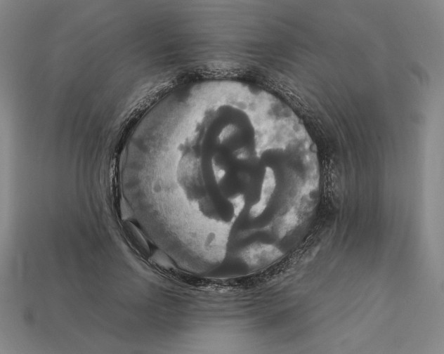 X0000113110742200909181628