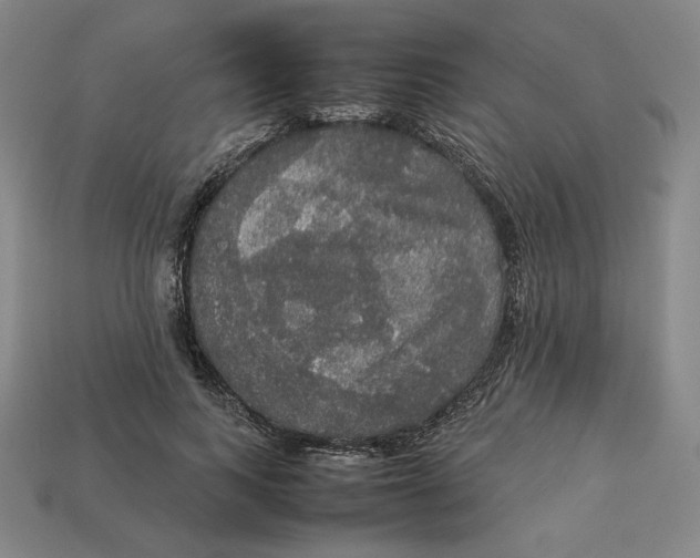 X0000113110743200909181628