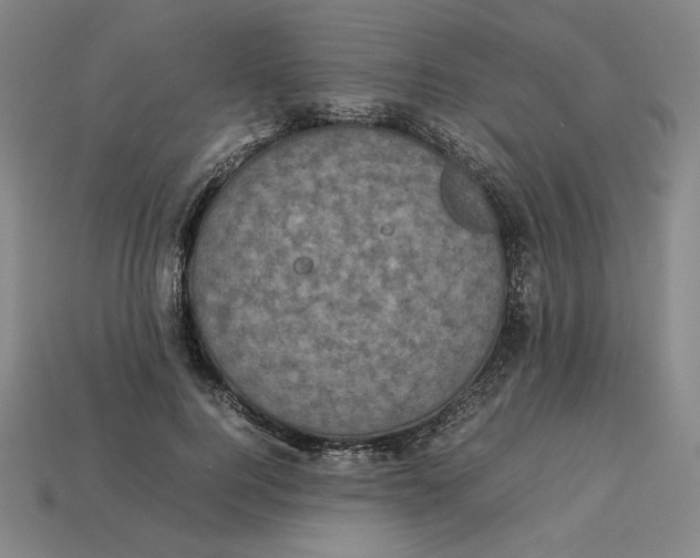 X0000113110744200909181628