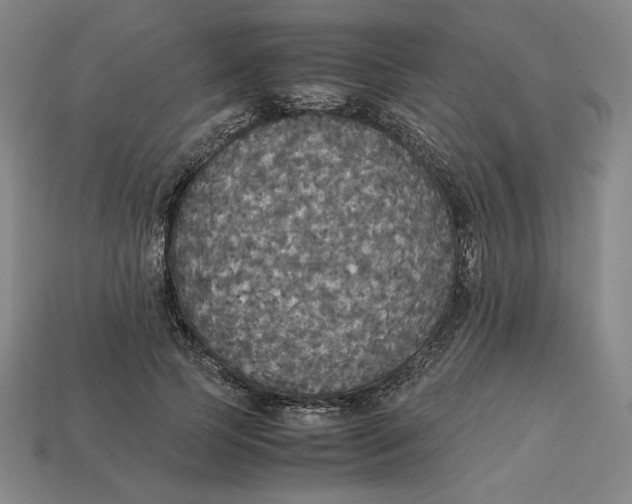X0000113110745200909181628