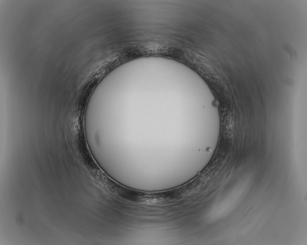 X0000113110746200909181628