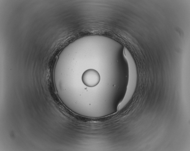 X0000113110748200909181628