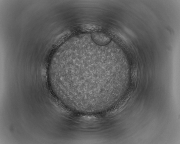 X0000113110749200909181628