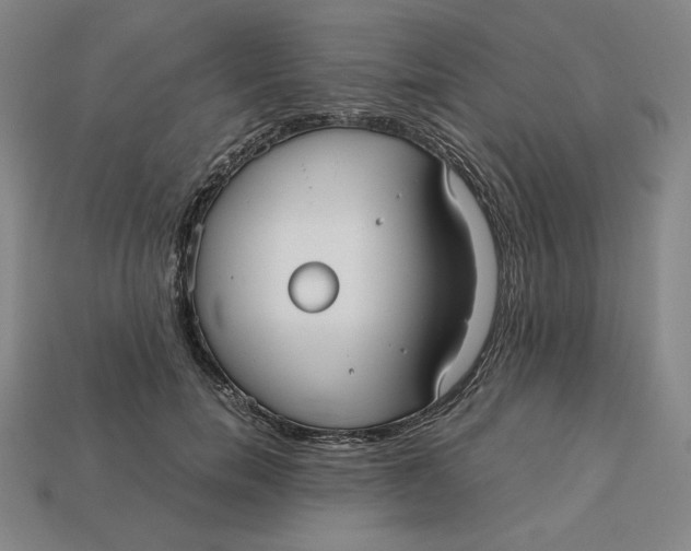 X0000113110750200909181628