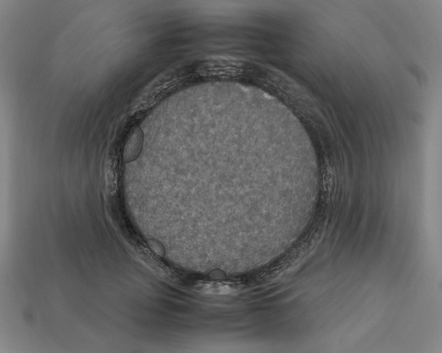X0000113110751200909181628