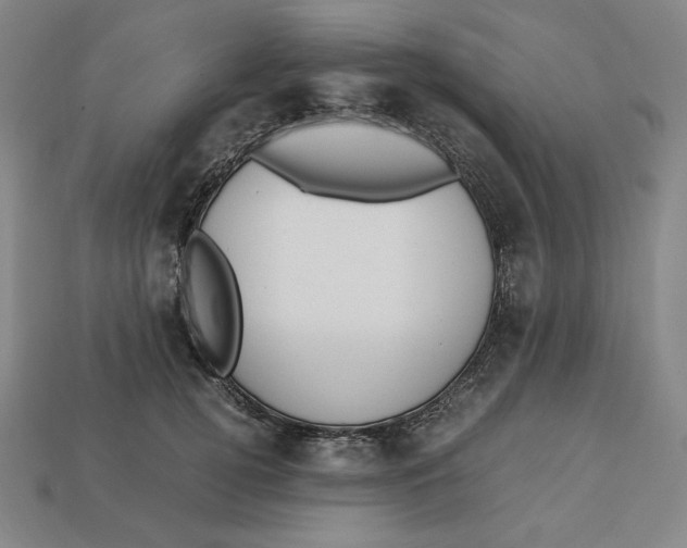 X0000113110752200909181628