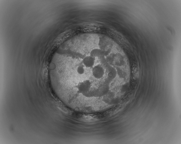 X0000113110753200909181628