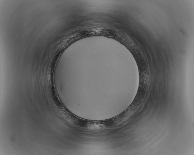 X0000113110754200909181628