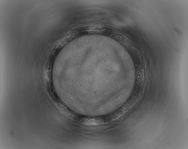 X0000113110755200909181628